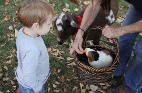 Tierschutz